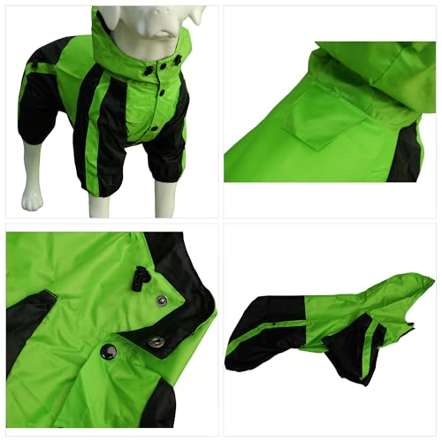 Border Collie Dog Hooded Raincoat (L-M+ (for Border Collie ~60lbs) / Green)