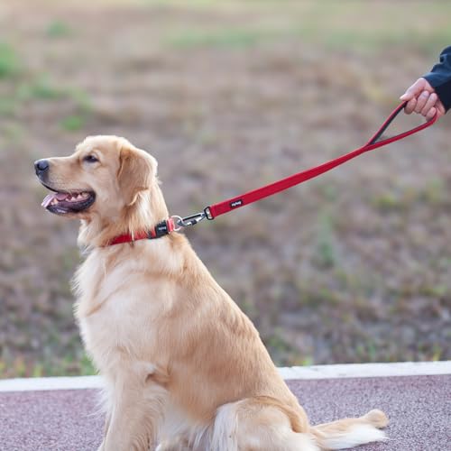 Short Dog Leash 24" (Red / 24 Inches)