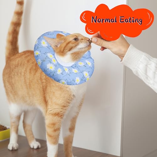 Cat Cone Collar Soft (Blue Daisy / Small)