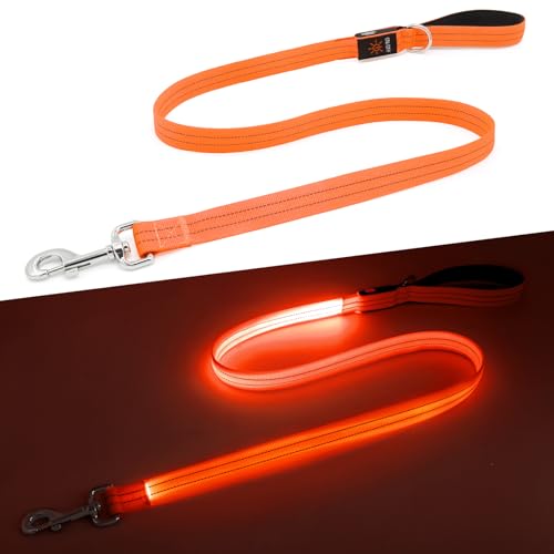 LED Dog Leash (Orange)