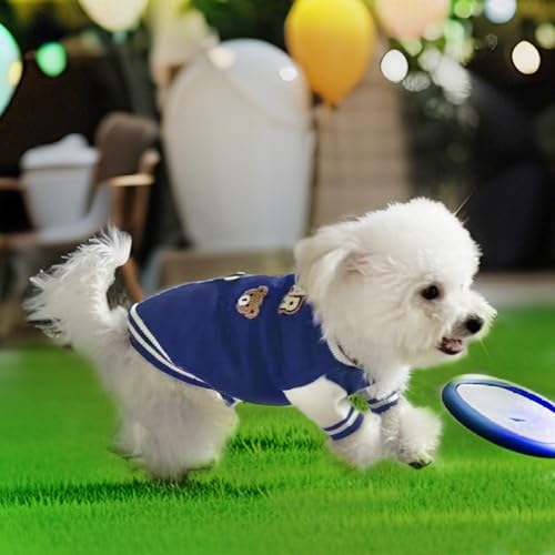 Dog Varsity Sweaters for Medium Dogs (Blue / Medium(5-9lbs))