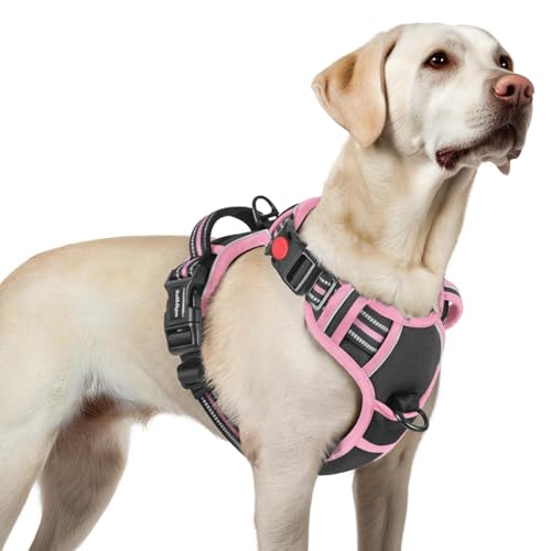 Dog Harness for Large (Large / Black & Pink)