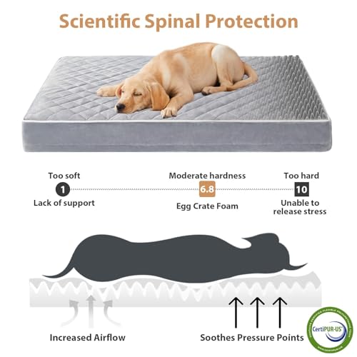 Orthopedic Giant Human Dog Beds for Adult & Dog Cozy Sleep (Light Grey / 61"L x 43"W x 4"Th)