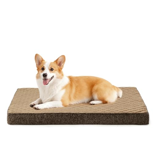 Orthopedic Medium Dog Bed (M(29"x18") / Brown)