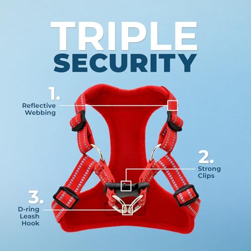 Voyager Adjustable Step (Harness Leash Set (Red) / M)