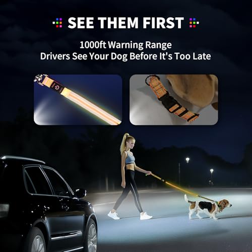 LED Dog Leash (Orange / 6 feet)