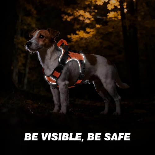 Orange Tactical Dog Harness for Medium Dogs (Orange / Medium: 30-50 lbs (Chest:24-28",Neck:17-19"))