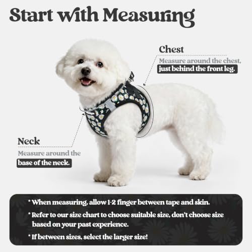Dog Harness Medium Sized and Leash Set (Midnight Daisy / M (chest: 16 - 18.5"))