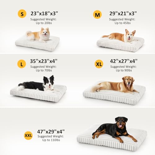 Dog Bed Medium Size Dog (White / M(29"x21"x3"))