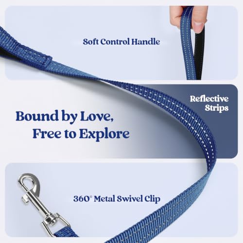 Dog Harness Small Sized and Leash Set (Navy Space Pups / Xs (chest: 13.3 - 15.5"))