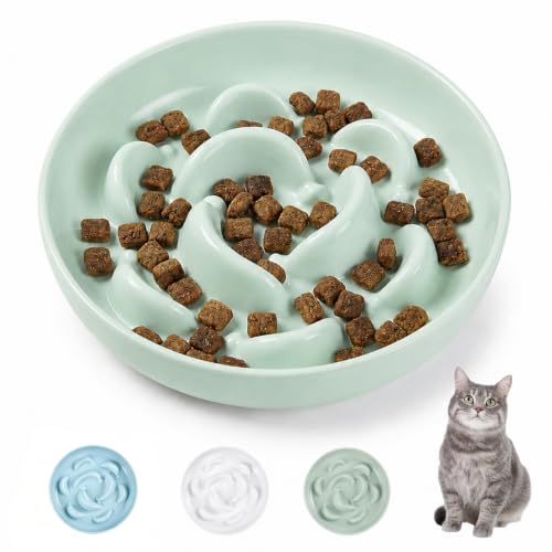 Melamine Cat Slow Feeder Bowl (Green / 2"H)