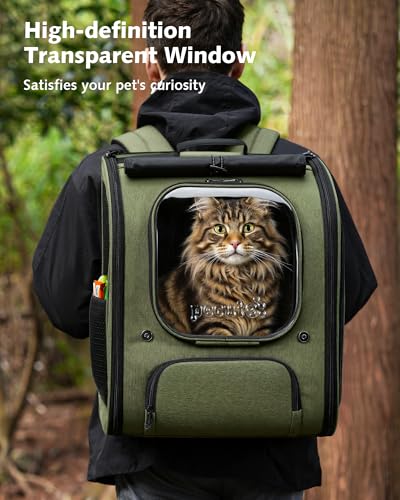 Cat Backpack Carrier (Green / 14.9"L x 11.0"W x 19.6"H)