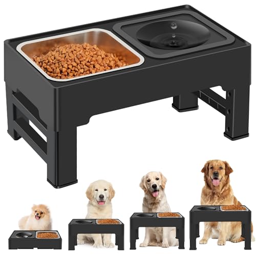 Elevated 2 in (Stainless Steel Food Bowl)
