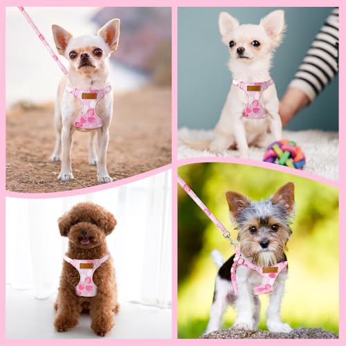 No Pull Dog Harness with Leash for Small Medium Dogs (XX-Small(2.2-6lb) / Pink Strawberry)