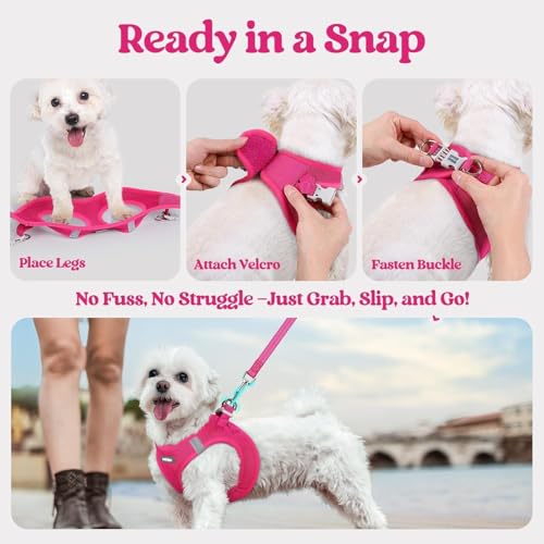 Dog Harness Medium Sized and Leash Set (Rose Red / M (chest: 16 - 18.5"))