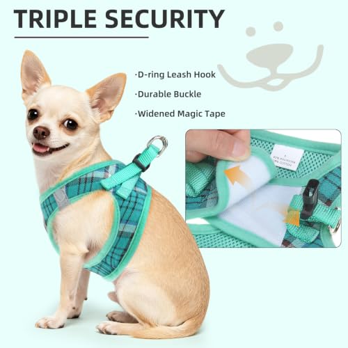 Dog Harness Collar and Leash Set No Pull for Small Medium Sized (Lake Green / XS (CHEST 13"-14.5"))