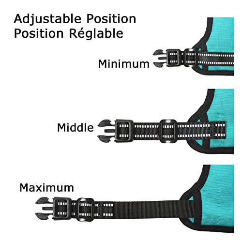 Dog Harness No Pull Adjustable Padded Reflective Harness for Small Medium Large Dogs with Handle for Walking Training (M / Turquoise)