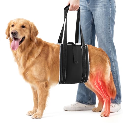 Dog Lift Harness for Rear Legs (Large)