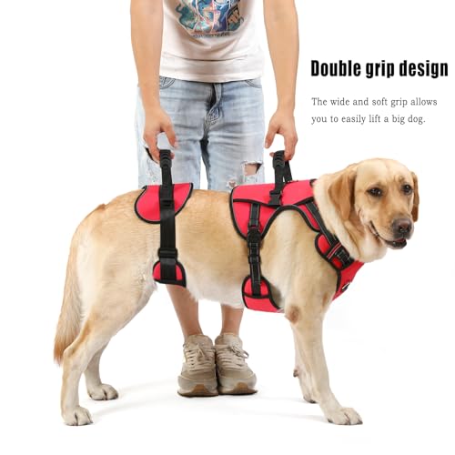 Dog Lift Harness (Red-1 / X-Large)