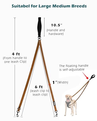 Two Point Control Dog Leash (Brown)