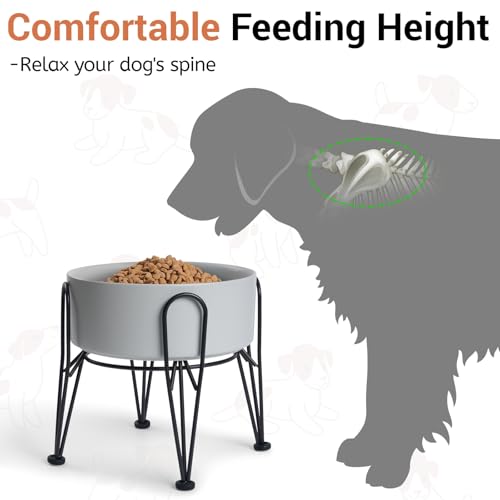 Elevated Dog Bowls (Gray / 7.6 Cups | 2 Pack | For Large Dogs)