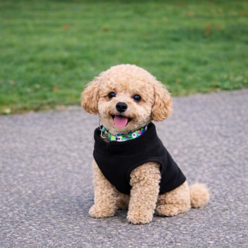 Dog Fleece Vest Sweater with Leash Ring (S (4-6lbs) / Black)