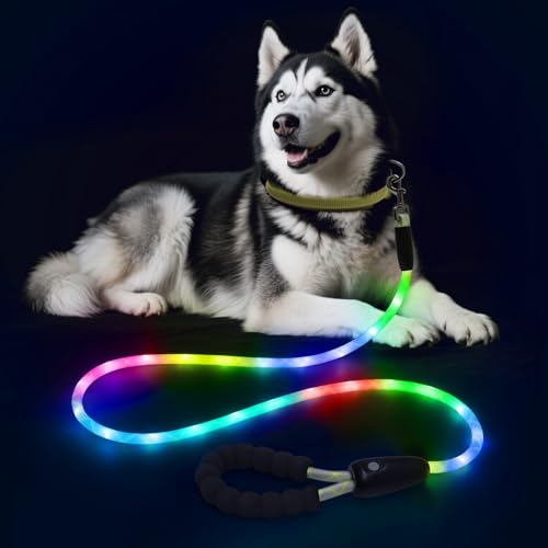 LED Light Up Dog Leash (Multi-Color / 5FT)