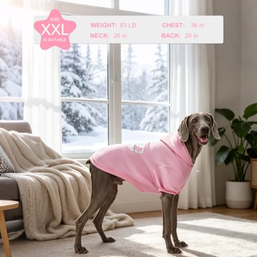 Princess Dog Hoodie (L (Back: 20",Chest: 28", Neck: 21") / Pink(Prinecss))