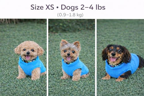 Dog Fleece Vest Sweater with Leash Ring (XS (2-4lbs) / Blue)