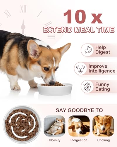 Ceramic Slow Feeder Dog Bowls (M-1.5 Cups / 01-White)