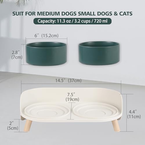 Elevated Ceramic Dog Bowl Set (Green / Medium)