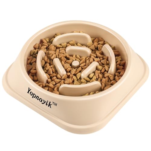 Slow Feeder Dog Bowls for Large Dogs (Large / Beige)