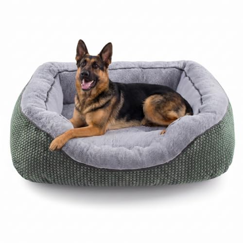 XL Dog Beds Large Sized Dog (XL (42"x30"x8") / Green)