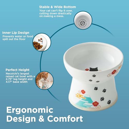Necoichi Ceramic Raised Cat Food Bowl (Fuji / Large)