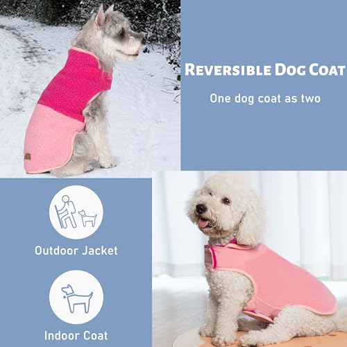 Sherpa Dog Coat Reversible Dog Jackets for Small Dogs (Medium (10-15lbs) / Rose Red)