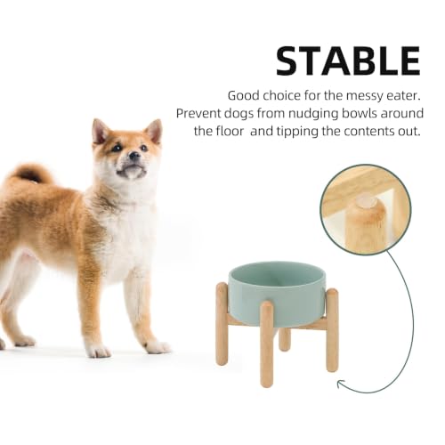 Ceramic Dog Bowls Elevated (Light Green)