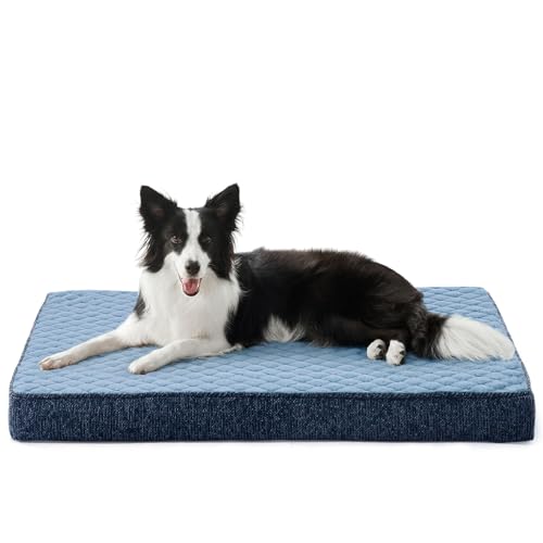 Orthopedic Dog Bed for Large Dogs (L(35"x22") / Blue)