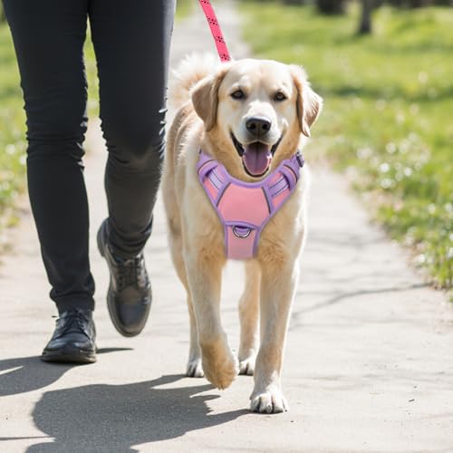 Dog Harness for Large Dogs No Pull Dog Vest ID Tag Pocket (Baby Pink & Violet Purple / X-Large)