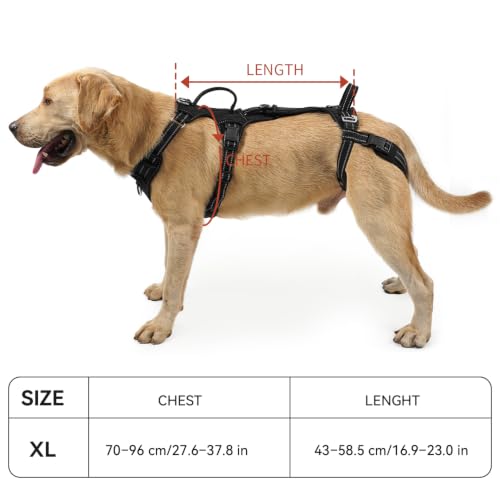 Mobility Dog Lift Harness (Black / XL)