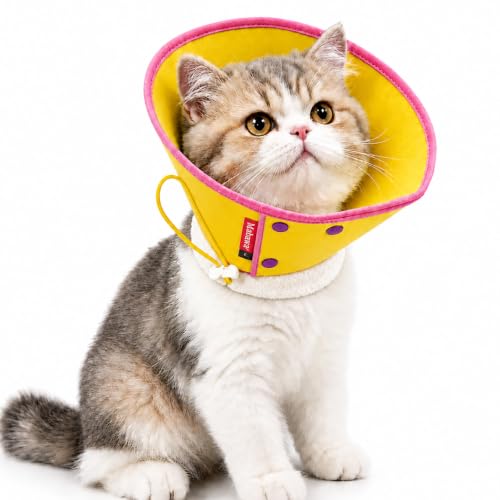 Soft Dog Cone Collar for Dogs & Cats (Yellow / XS)