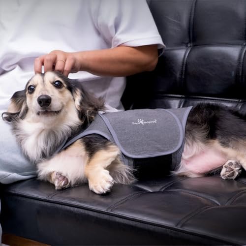 Dog Anxiety Vest (Large)