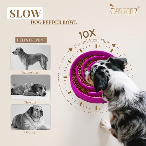 Slow Feeder Dogs Bowl for Large Medium Dogs (Large / F-Purple)
