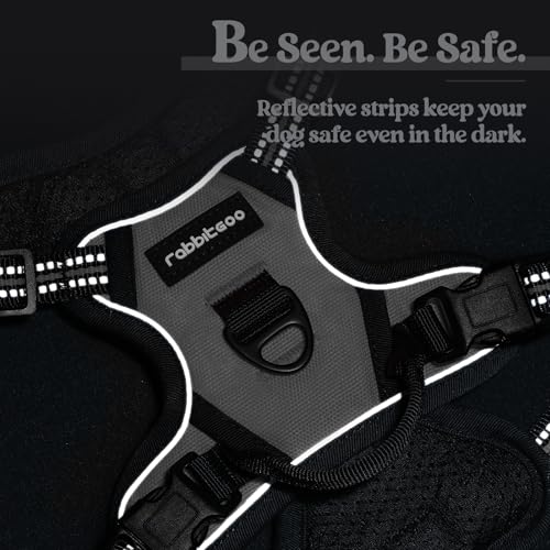 Dog Harness No Pull with 2 Leash Clips (X-Small / Gray)