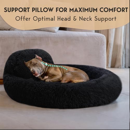 PetJett Large Dog Bed (Black / Large - 36”L x 36”W x 8”Th)