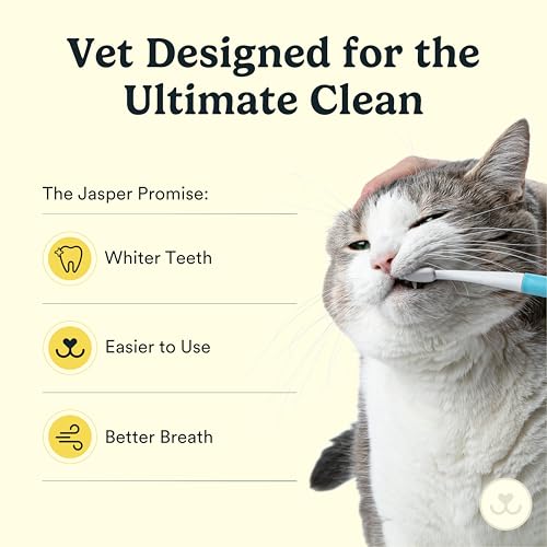 Microbrush Vet Approved Cat Toothbrush (Gray 2 Pack)
