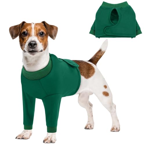 Dog Surgery Recovery Sleeve Front Legs (Medium / Green)