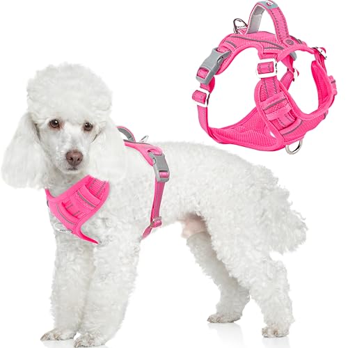 Dog Harness No Pull with ID Tag Pocket (Small(Chest:19.5-26”) / Pink)