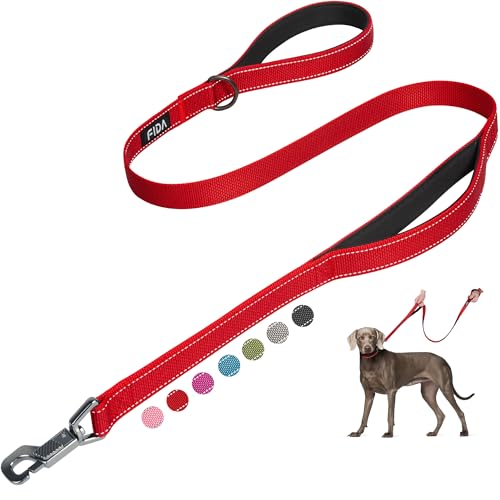 Heavy Duty Dog Leash for Medium Large Dogs (4 Feet (Pack of 1) / Red)