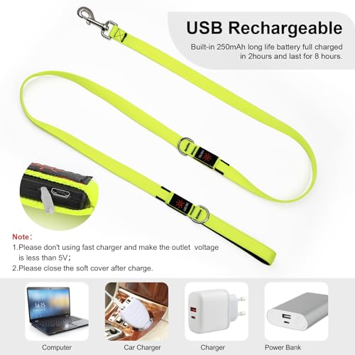 LED Light Up Dog Leash (Green / 6FT)