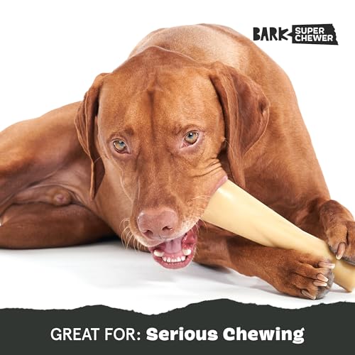 Bacon Bone Super Chewer (Large / Mighty Bone Bacon)